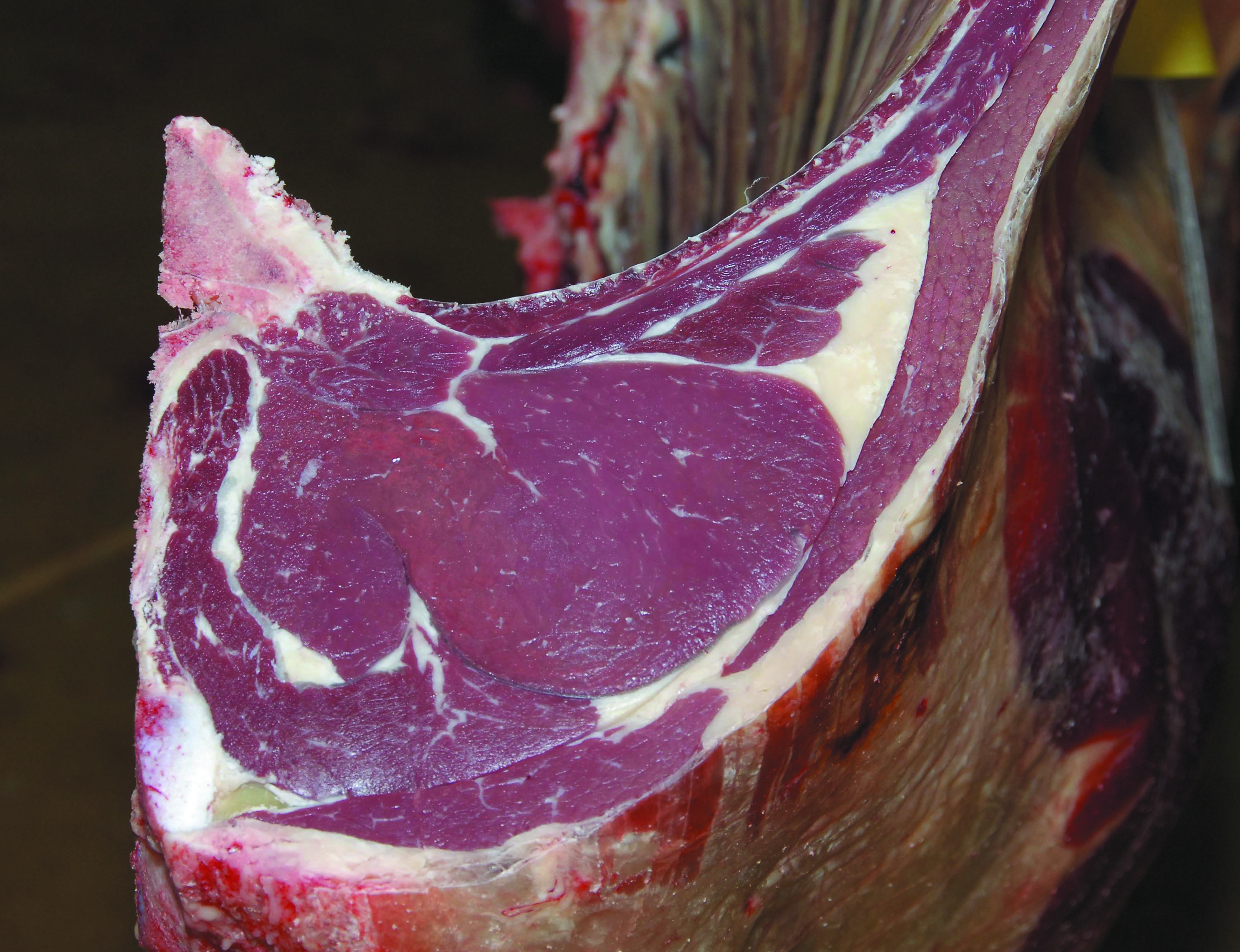 Cut of meat which shows good conformation. 